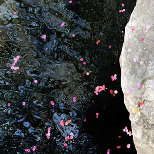 牲z0zo性内交另类
