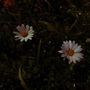 牲z0zo性内交另类
